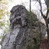 Jęzory Jęzory
