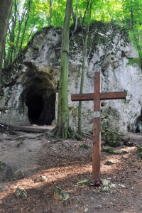 Ostrężnik