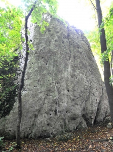 Grodzisko Pańskie